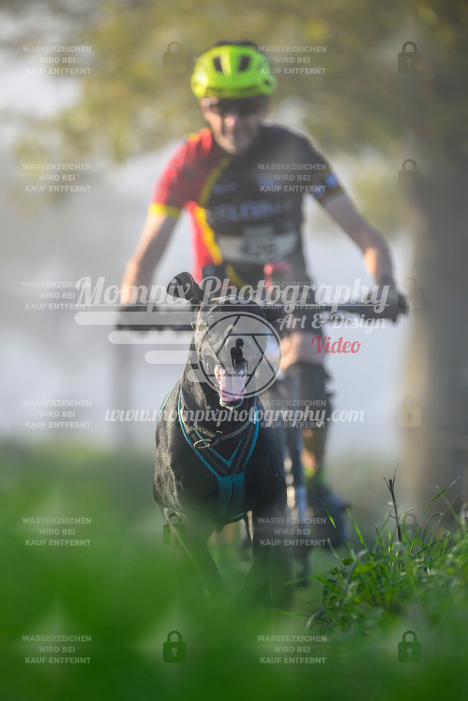 MompixPhotography_20TSB_E3_Bike-54 | PayLife