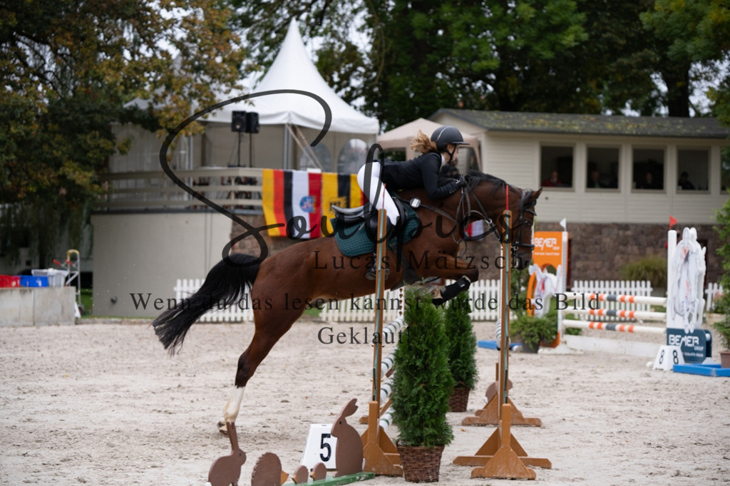 A7V08053 | Pferdefotograf