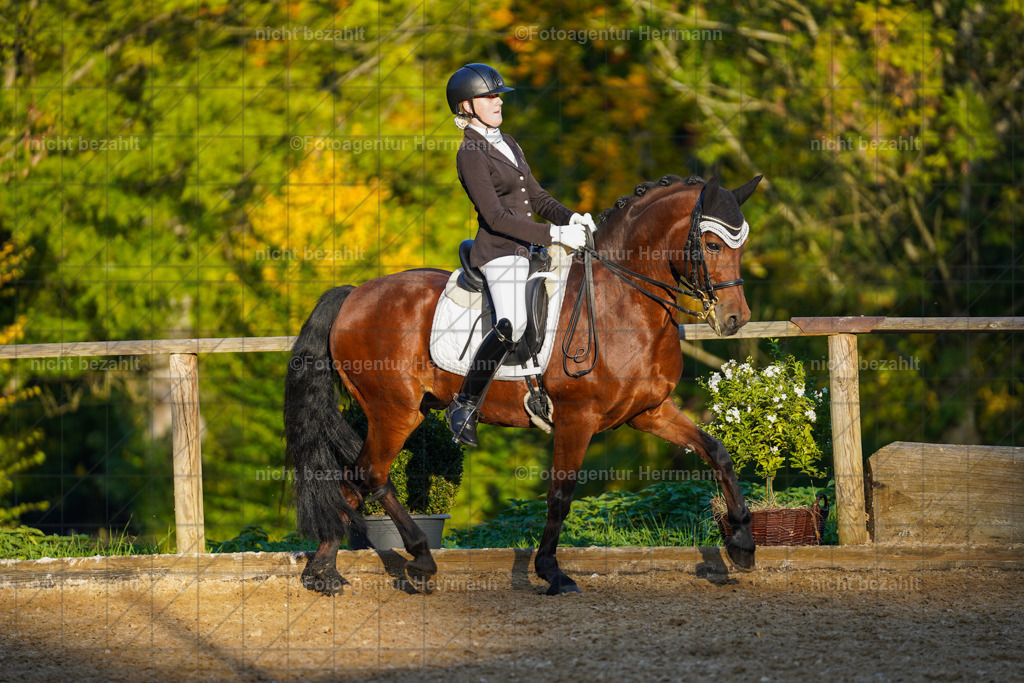 20221007-FAH00454 | Diessen am Ammersee, 2022, Dressur- und Springturnier, Reitsportbilder, Turnierfotografen Bayern, Pferdefotografen, Fotoagentur Herrmann, Turnierbilder