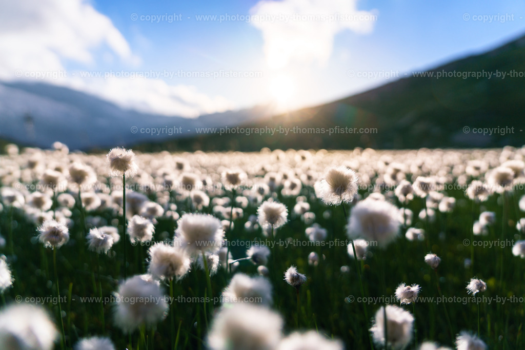 Oberer Gerlossee copyright  Thomas Pfister-9 | PHOTOGRAPHY BY THOMAS PFISTER