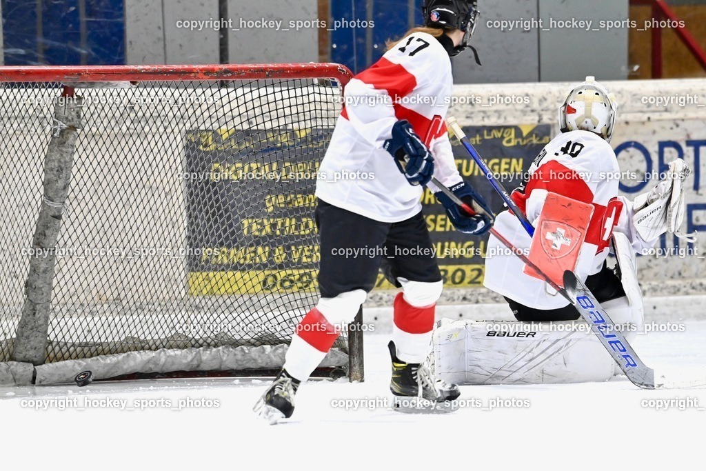 BST_3197 | hockey sports photos, Pressefotos, Sportfotos, hockey247, win 2day icehockeyleague, Handball Austria, Floorball Austria, ÖVV, Kärntner Eishockeyverband, KEHV, KFV, Kärntner Fussballverband, Österreichischer Volleyballverband, Alps Hockey League, ÖFB, 