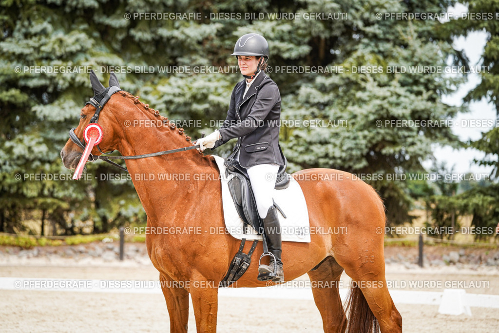 DSC04570 | Pferdegrafie