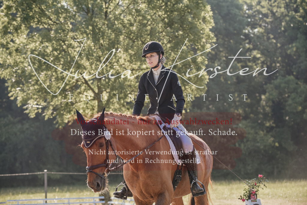 DSC_7753 | Pferde- und Turnierfotografie in Westsachsen. Pferdeportraits, Auftragszeichnungen und intuitive Kunst.