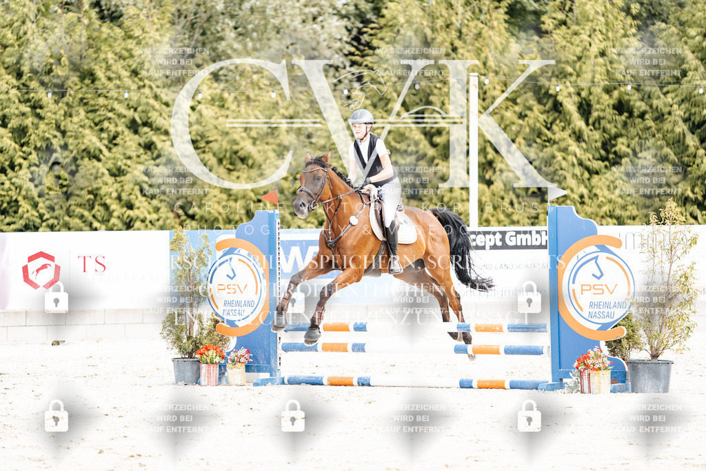 CK906571 | Turnierfotografie Pferdefotografie Trier Rheinland-Pfalz Pferdesport Reitsport Tierfotografie Sportfotografie Pferdevideo Pferdevideografie Equestrianvideography equestrianphotography  - Realisiert mit Pictrs.com