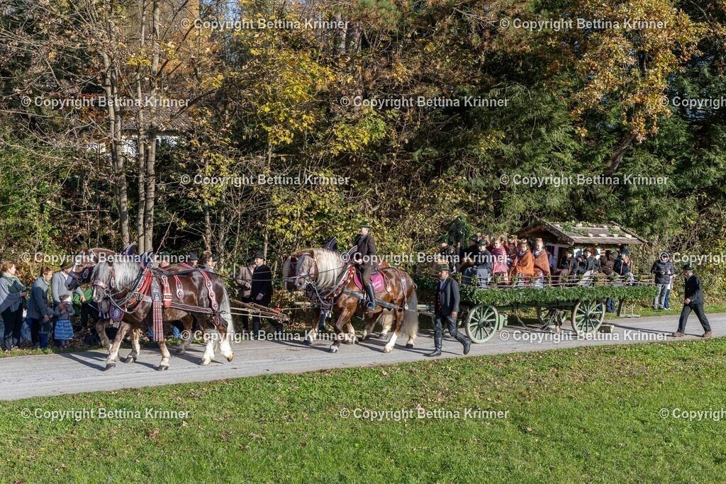 LBT24-370 | foto-bettina-krinner - Realisiert mit Pictrs.com
