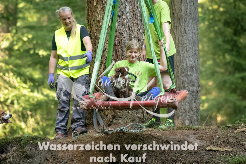 1437_ZZ90320-Bearbeitet-2 | kk-dogfotos