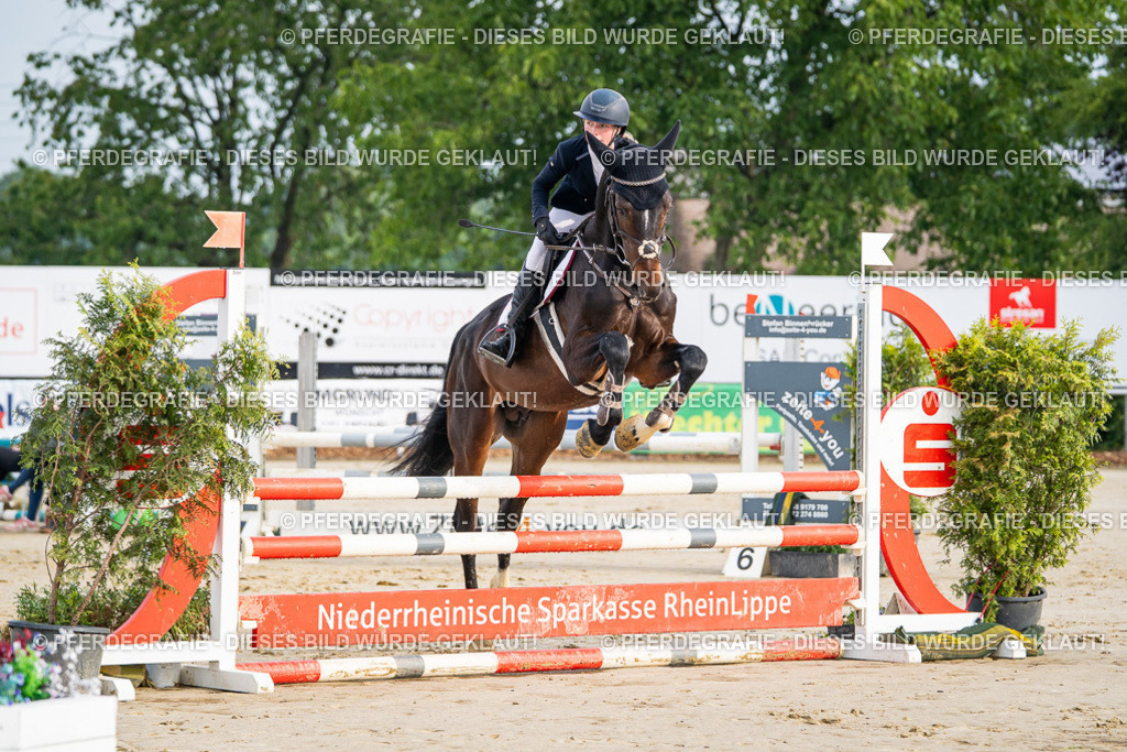 DSC07761 | Pferdegrafie