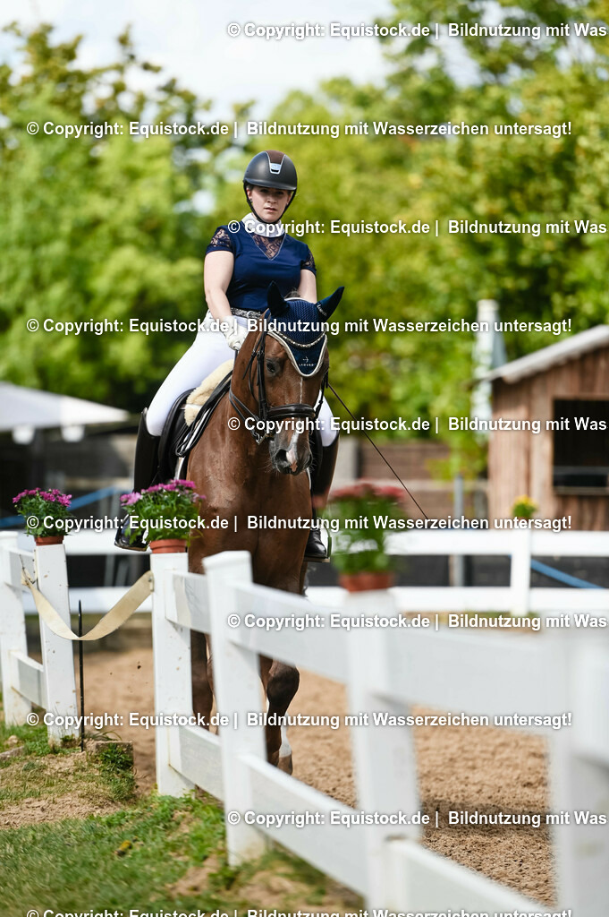 20230716_01_Dressurprüfung Kl.M_0360 | equistock