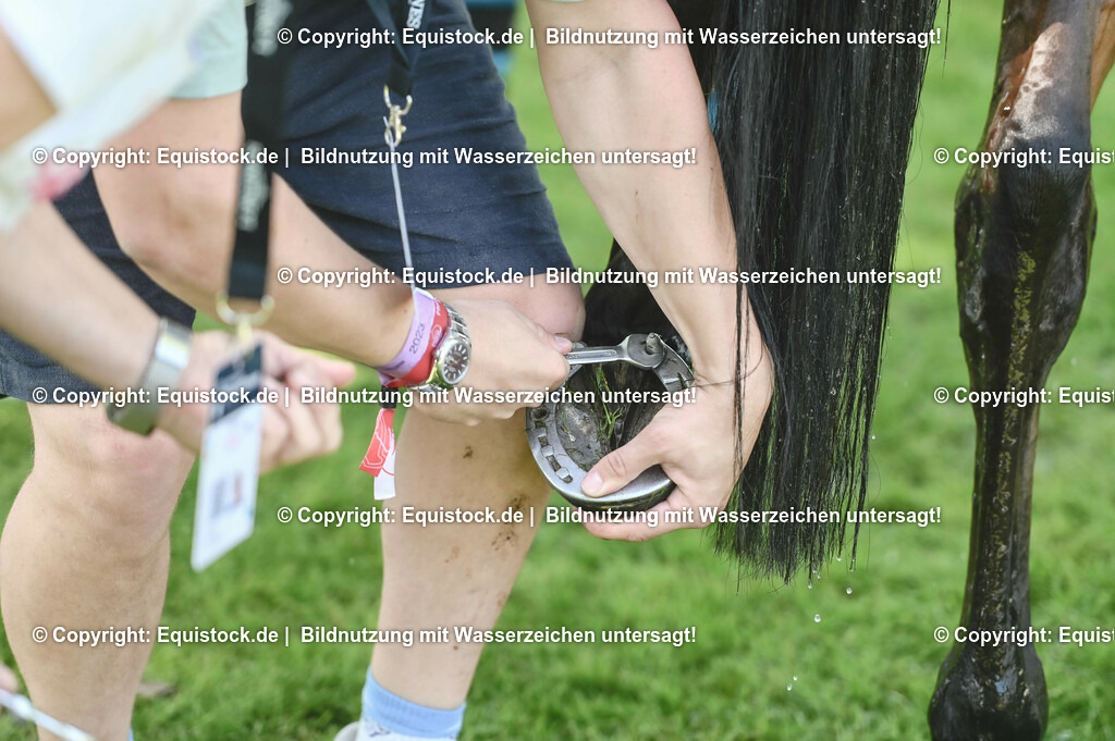 20230527_27_CCI4_Gelände_0300 | equistock