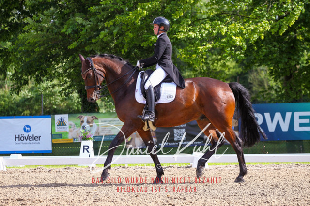 DKP41503 | Turnierfotos kaufen im Webshop von Daniel Kuhl Photography – entdecke professionelle Reitsportfotos aus Turnieren & Events. Hochwertige Turnierbilder online bestellen & sichern. Jetzt Fotos von Reitsportturnieren kaufen!