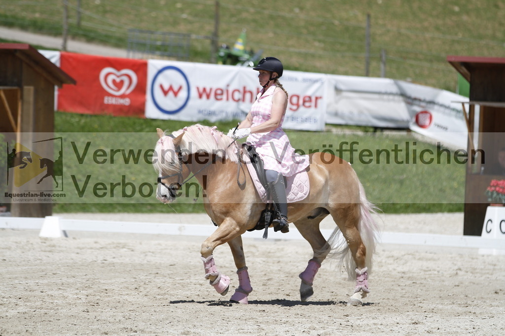 _MG_7577 | equestrian-live-com