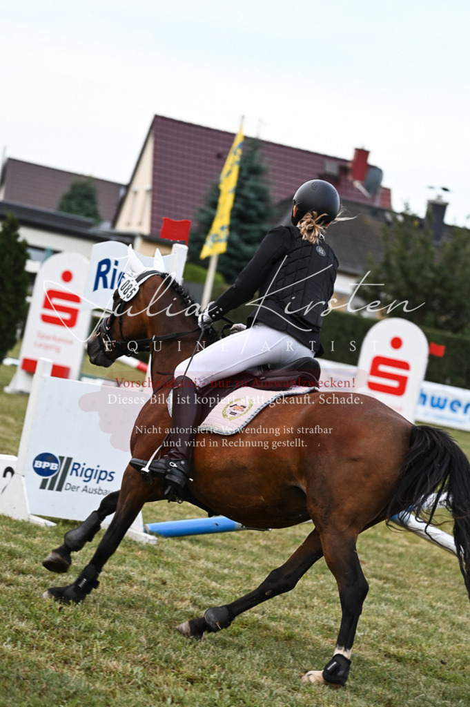 DSC_5714 | Pferde- und Turnierfotografie in Westsachsen. Pferdeportraits, Auftragszeichnungen und intuitive Kunst.