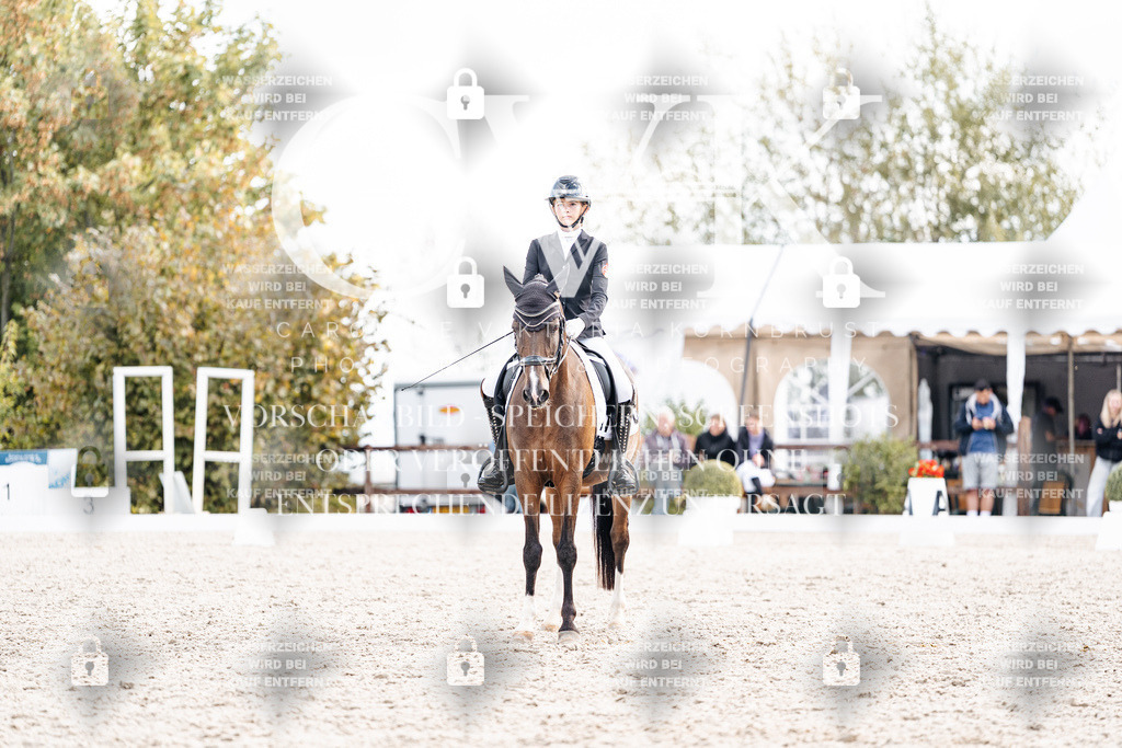 CK901603 | Turnierfotografie Pferdefotografie Trier Rheinland-Pfalz Pferdesport Reitsport Tierfotografie Sportfotografie Pferdevideo Pferdevideografie Equestrianvideography equestrianphotography  - Realisiert mit Pictrs.com