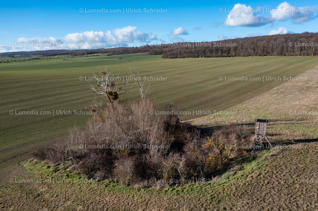 10049-51463 - Kleines Biotop | Stockfoto und Bilderpool mit Bildmaterial aus Deutschland, dem Harz, Halberstadt, Quedlinburg, Wernigerode und weltweit. Qualitativ hochwertige und professionelle Fotos anschauen und kaufen. - Realisiert mit Pictrs.com
