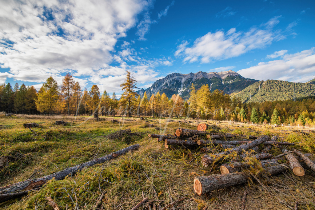 DSC05983 | Professioneller Fotograf - Bildbestellung online - Wandbilder vom Profi für ihr Zuhause, Büro, Praxis, Firma - große Auswahl an Materialien und Formaten, über 1400 regionale Motive