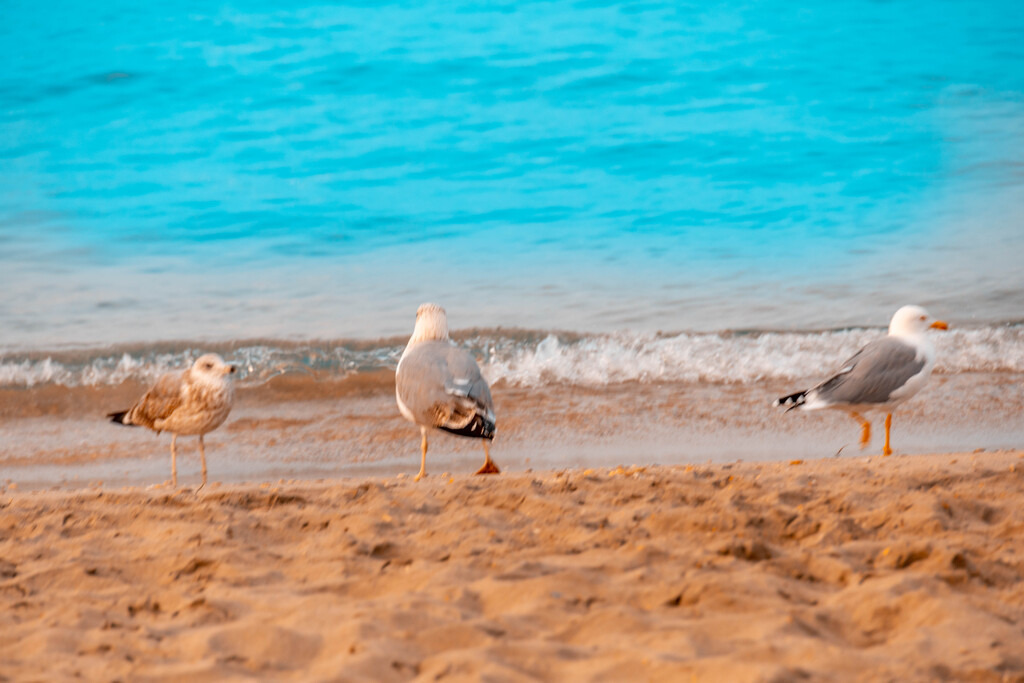 Mittelmeer (36) | hgt-foto