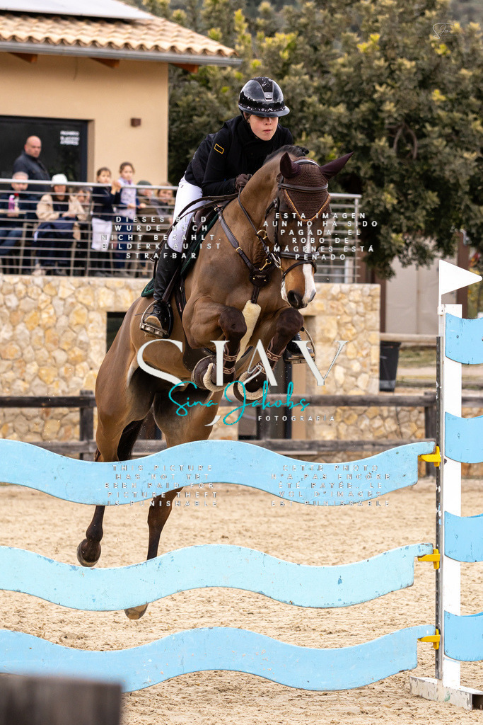 IMG_5172 | s-jay-photography - Realisiert mit Pictrs.com