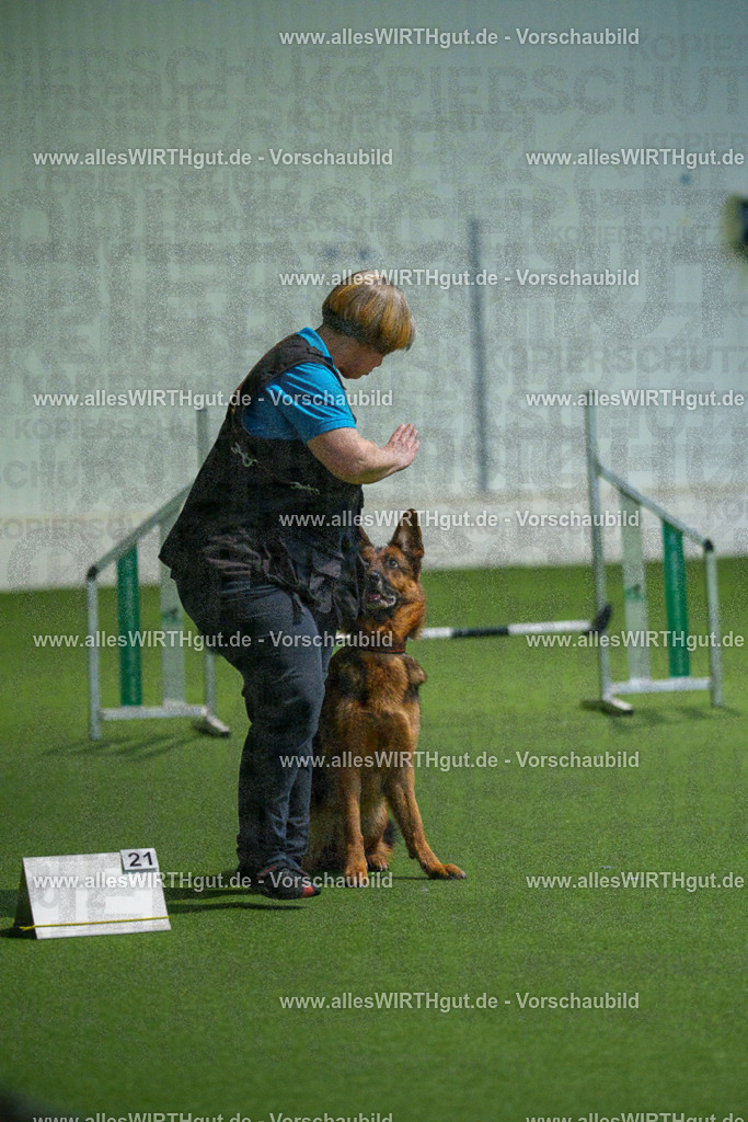 7R508019 | Professionelle Tierfotografie in Mönchengladbach von Daniel Wirth (allesWIRTHgut). Liebevolle & natürliche Bilder von Hunden & Katzen für unvergessliche Erinnerungen.