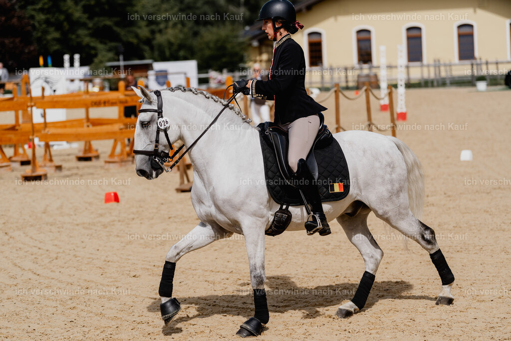 Virginie12FHC2025-2617 | working equitationturnier fotograf videograf stoibphotography marixx film working equitation deutschland reitsport turnierfotografie eventfotografie equestrian events