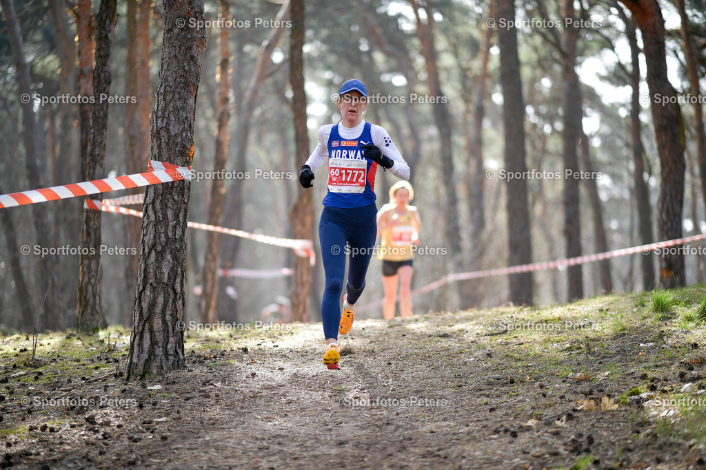 Masters Hallen-EM_Tag 6-79 | Masters Hallen-EM am 01.04.2026 in Torun - Realisiert mit Pictrs.com