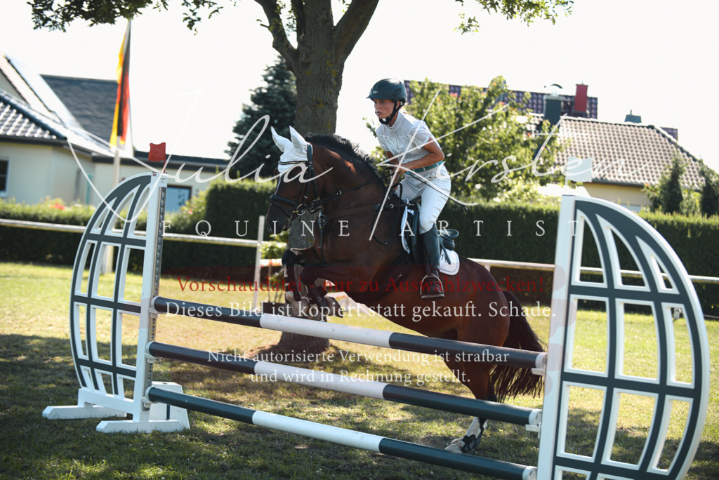 DSC_7276 | Pferde- und Turnierfotografie in Westsachsen. Pferdeportraits, Auftragszeichnungen und intuitive Kunst.