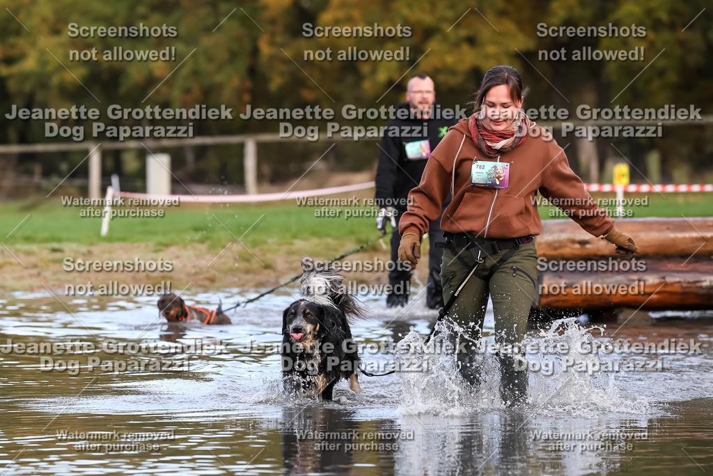 Dog Paparazzi - Strongdog 10-25-6939 | Dog Paparazzi Jeanette Grottendiek Fotografie & Videografie - Realisiert mit Pictrs.com
