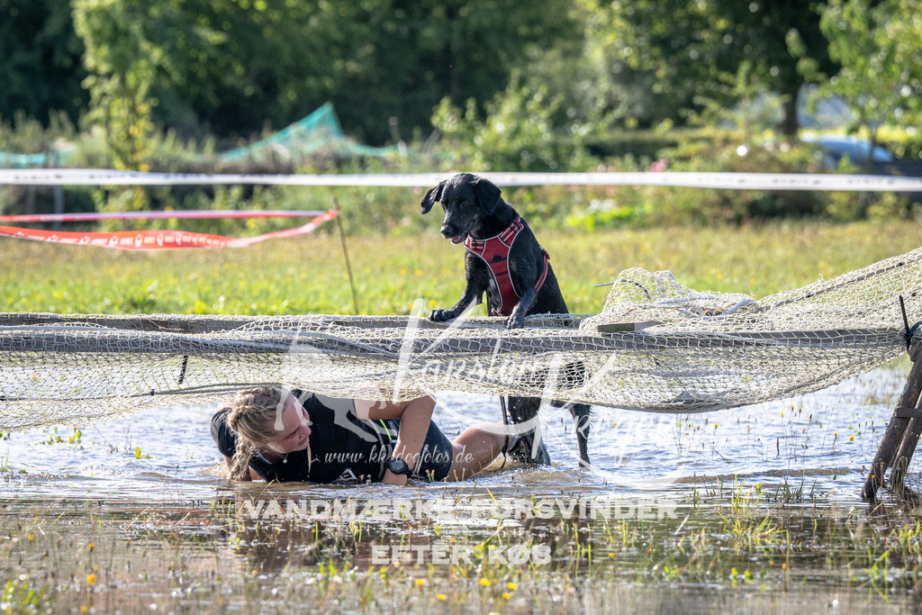 1033_ZZ90657 | kk-dogfotos
