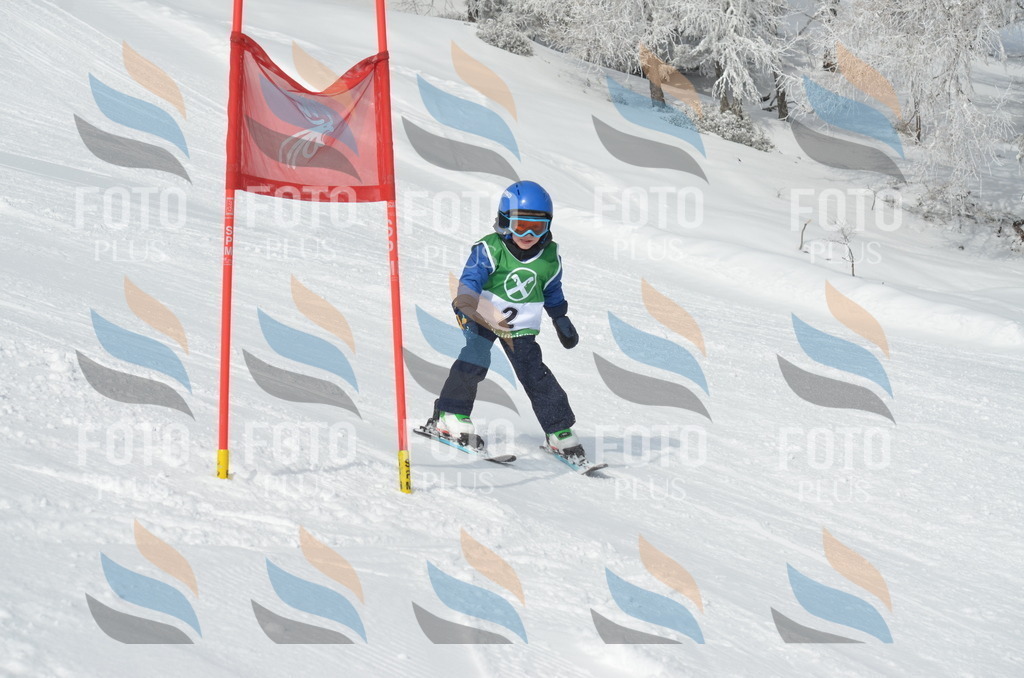 D8459 | holidayphoto