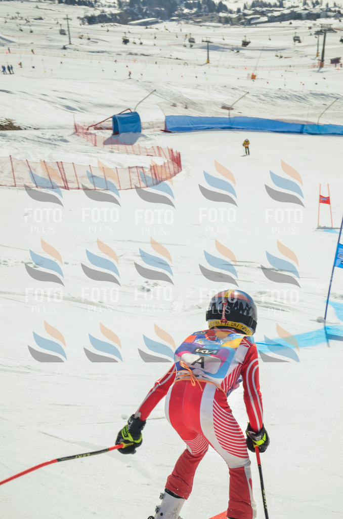 _ELE4280 | holidayphoto