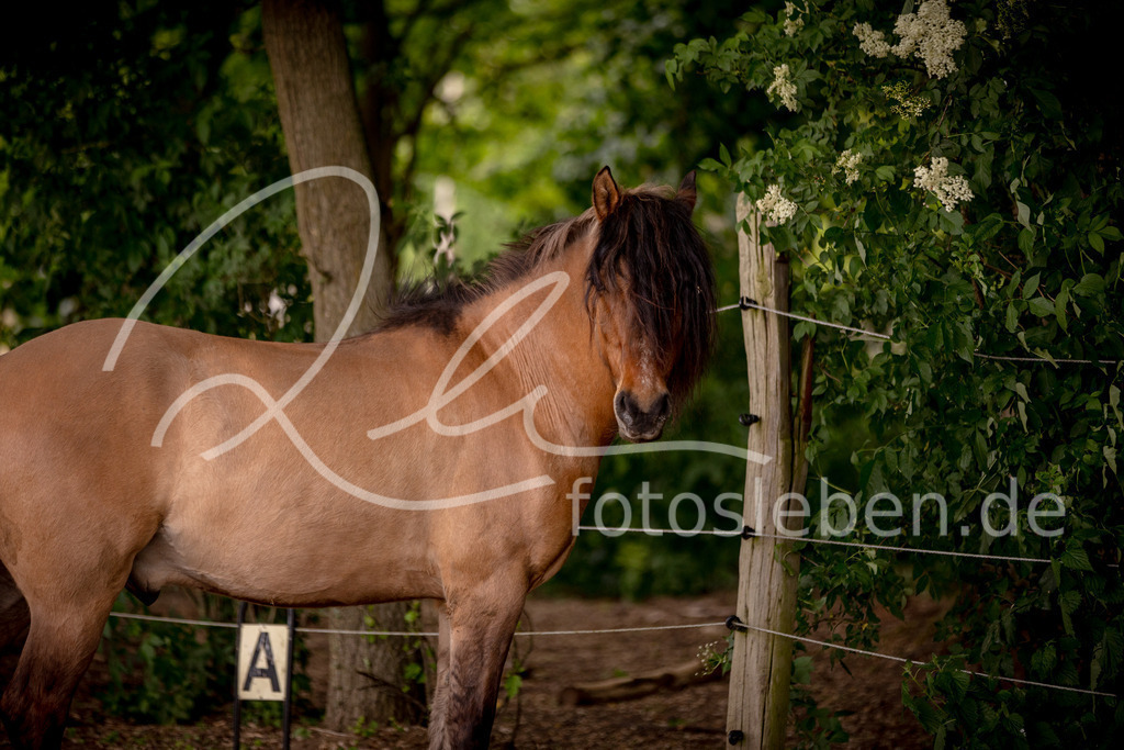 846A0444 | fotosleben - Realisiert mit Pictrs.com