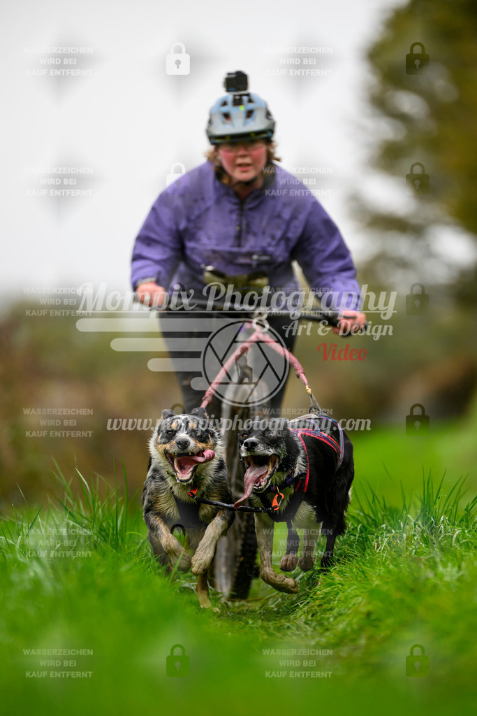 MompixPhotography_20TSB_E8_DS2-14 | PayLife