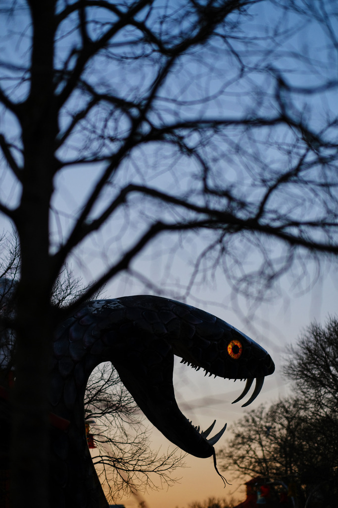 Schatten der Black Mamba | Wien, Austria - February 27, 2019: Prater; Schatten der Black Mamba, hinter dem Baum. - Realisiert mit Pictrs.com