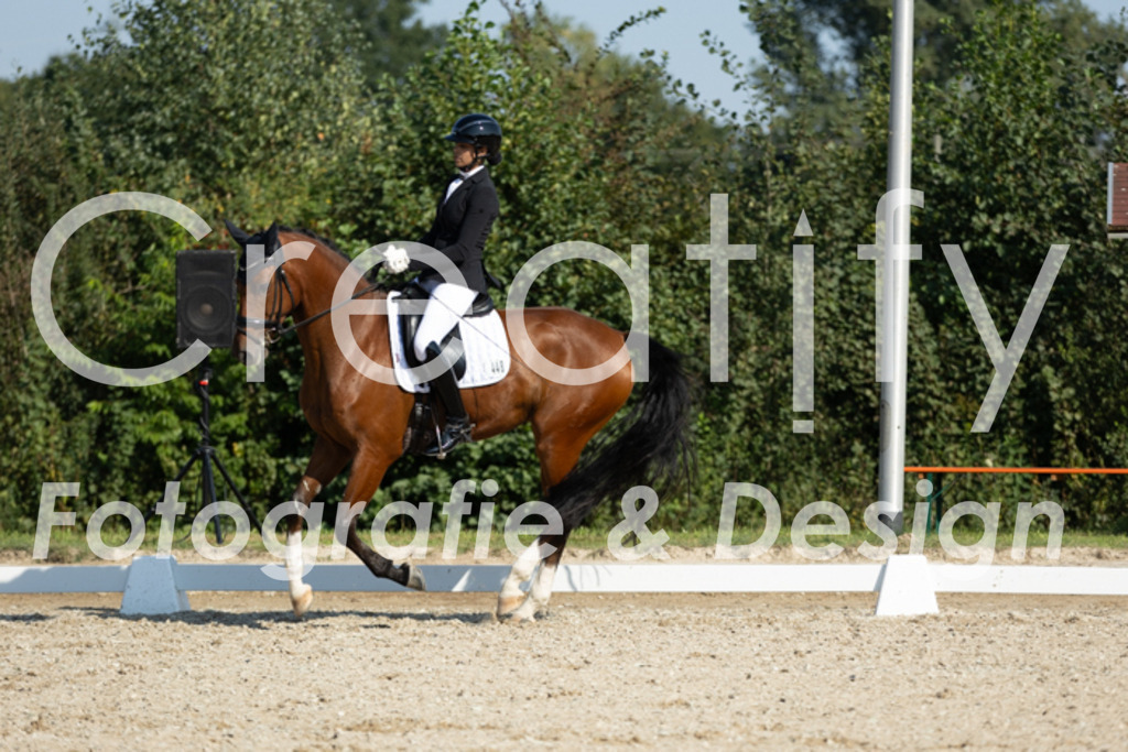 IMG_6045 | Creatify Fotografie