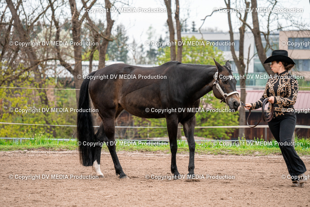 BA300124 | dv-media-shop - Realisiert mit Pictrs.com