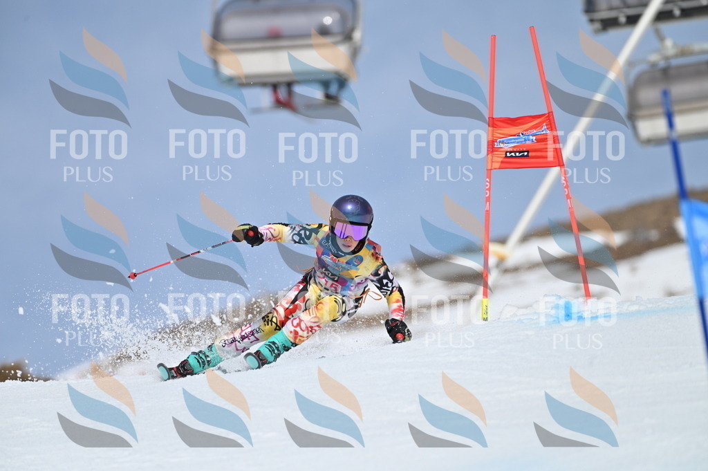 BGV_1210 | holidayphoto