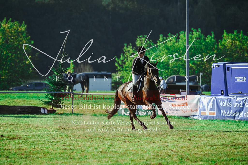 DSC_4361 | Pferde- und Turnierfotografie in Westsachsen. Pferdeportraits, Auftragszeichnungen und intuitive Kunst.