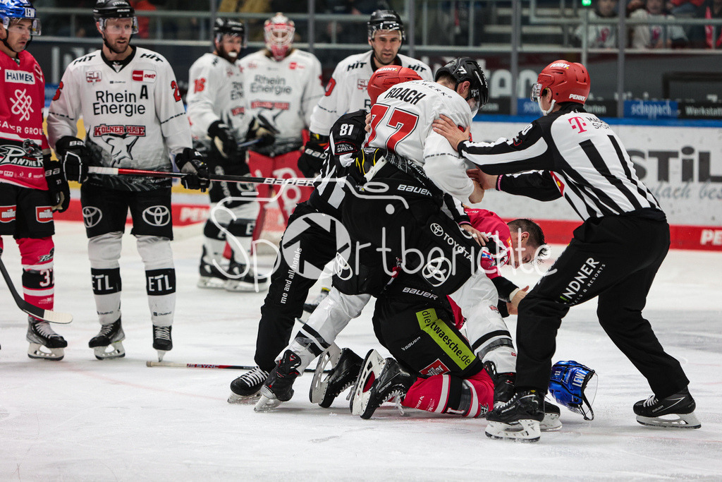 Augsburger Panther - Koelner Haie  | Alexander ROACH (KEC #77) und Adam Payerl (AEV #11) haben einen Kampf auf dem Eis / Fight / Boxing / Boxen / Kaempfen / Kämpfen