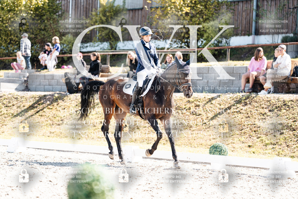 CK903350 | Turnierfotografie Pferdefotografie Trier Rheinland-Pfalz Pferdesport Reitsport Tierfotografie Sportfotografie Pferdevideo Pferdevideografie Equestrianvideography equestrianphotography  - Realisiert mit Pictrs.com
