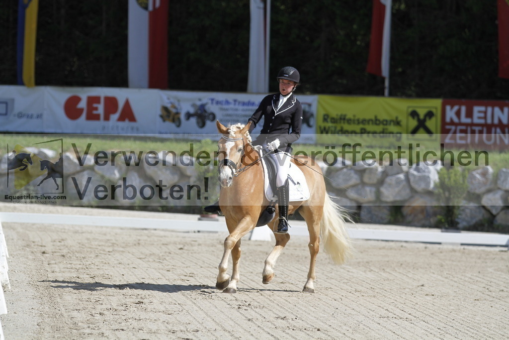 _MG_6496 | equestrian-live-com