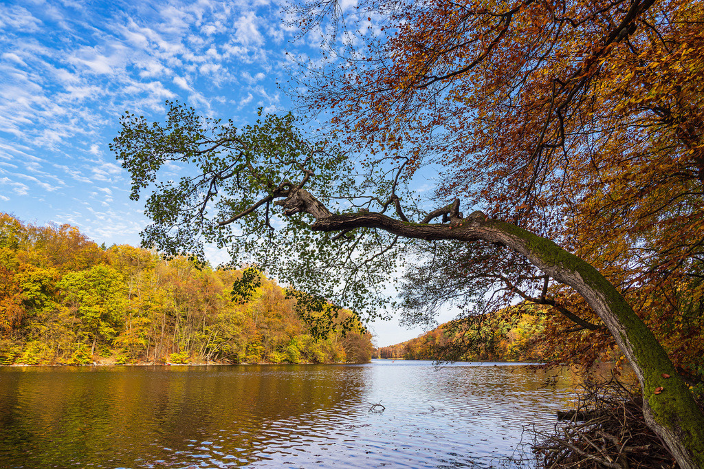 Blick über den See Schmaler Luzin auf die herbstliche Feldberger Seenlandschaft | Blick über den See Schmaler Luzin auf die herbstliche Feldberger Seenlandschaft.