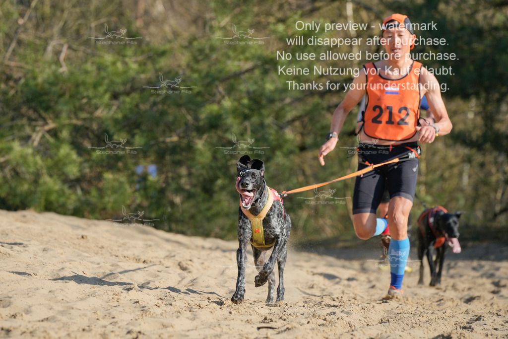 So_CC_lang-84 | stephaniefillaphotographie - Realisiert mit Pictrs.com