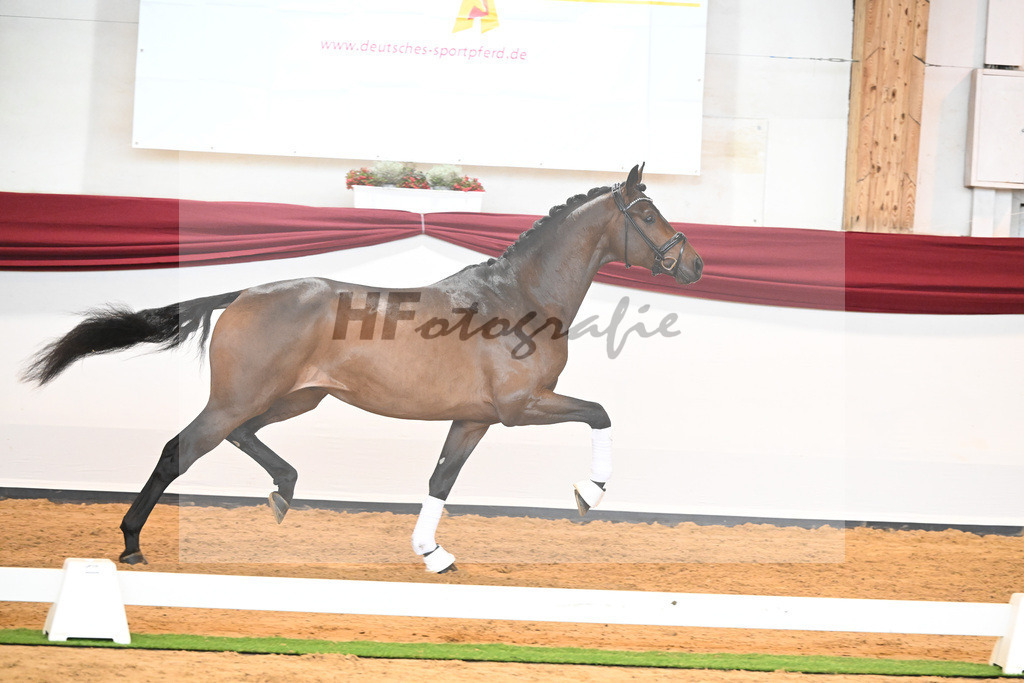 Kat-Nr. 38 v. Jovian_Limbecker_66220518 | hf-fotografie - Realisiert mit Pictrs.com