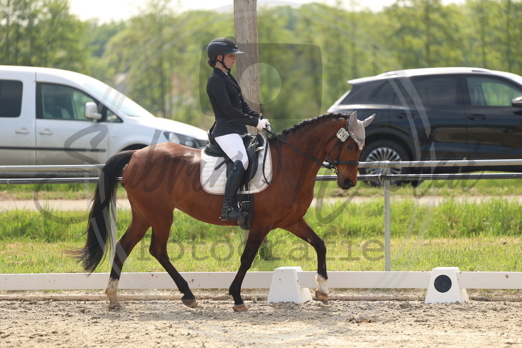 994A6787 | sabrinanicolaifotografie - Realisiert mit Pictrs.com