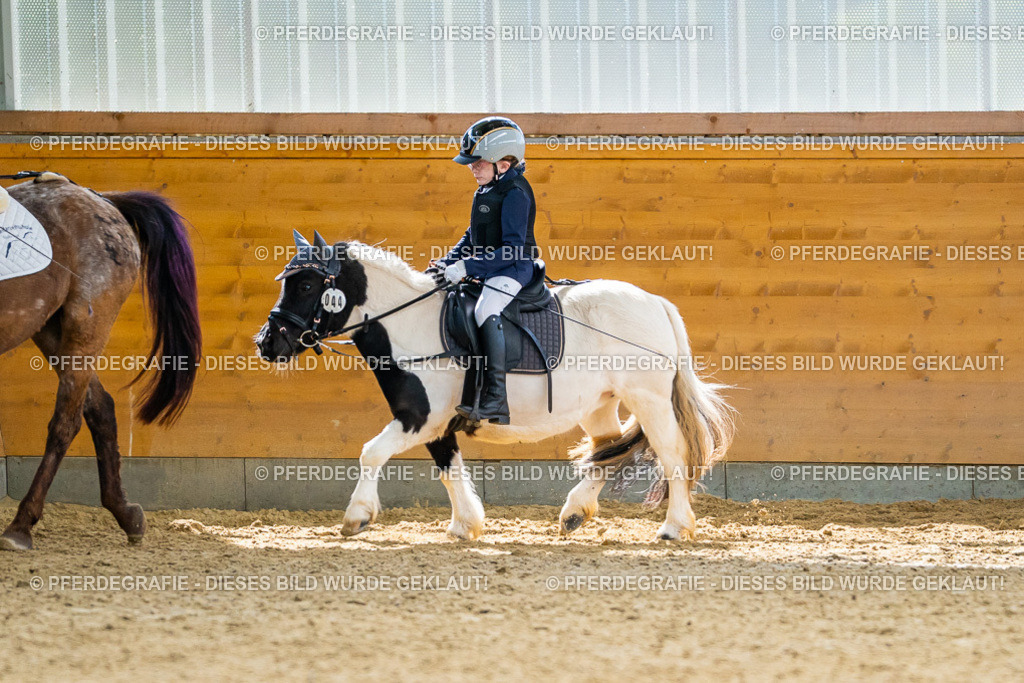 DSC01290 | Pferdegrafie