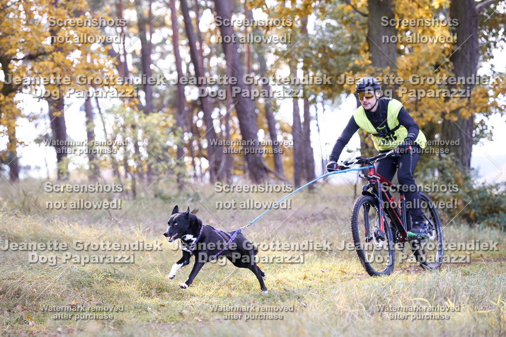 Dog Paparazzi - Elsholz 25 -147 | Dog Paparazzi Jeanette Grottendiek Fotografie & Videografie - Realisiert mit Pictrs.com