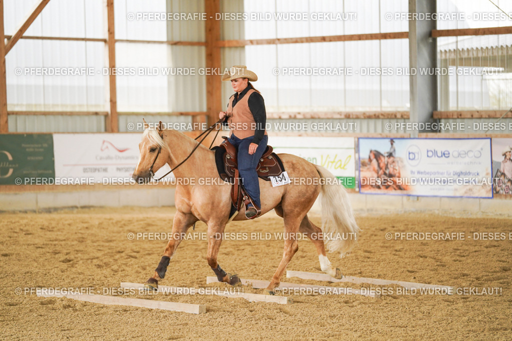 DSC03925 | Pferdegrafie