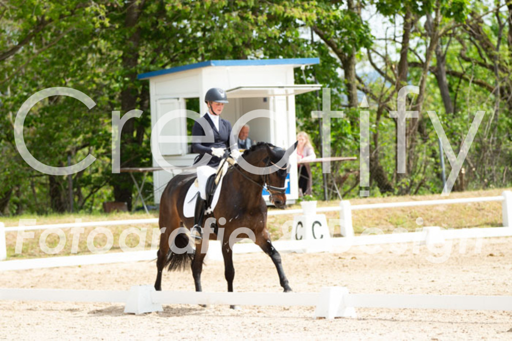 IMG_2688 | Creatify Fotografie