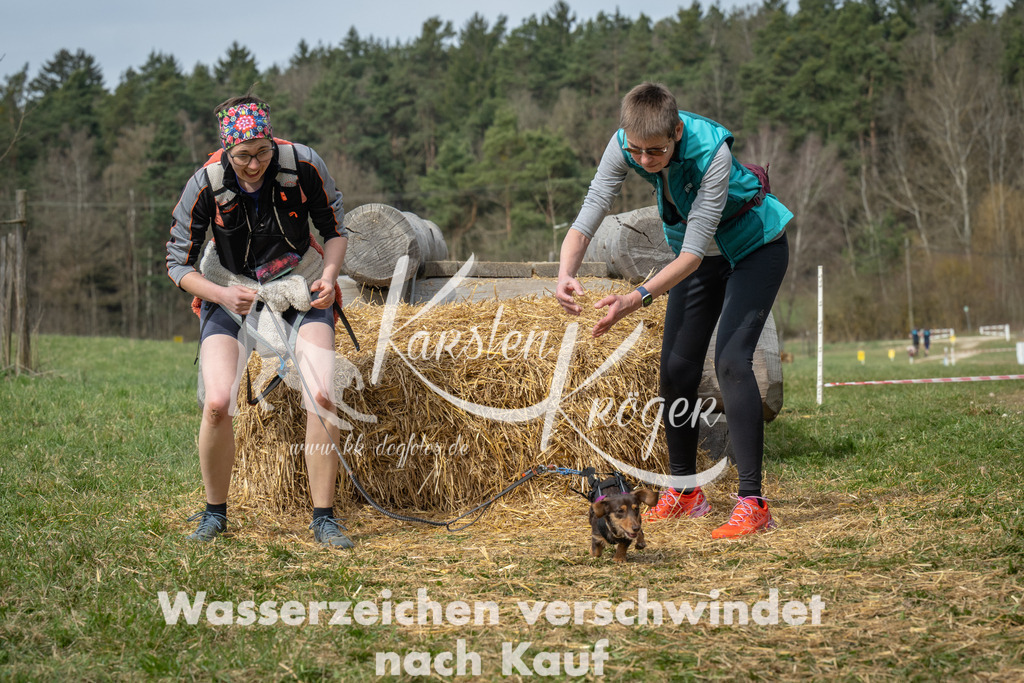 1113_ZZ96553 | kk-dogfotos