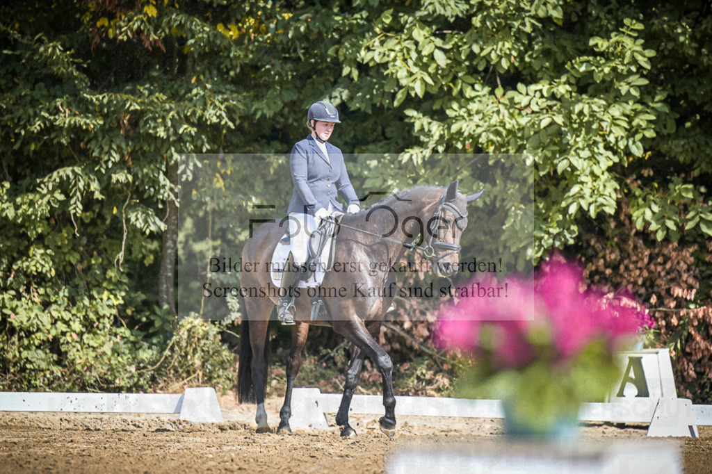 DOS_4244 | Entdecke hochwertige Reitturnierfotos von Foto Oger. Professionell, emotional und authentisch – jetzt Lieblingsmomente im Shop bestellen.Deutschlandweite Turnierfotografie. - Realisiert mit Pictrs.com