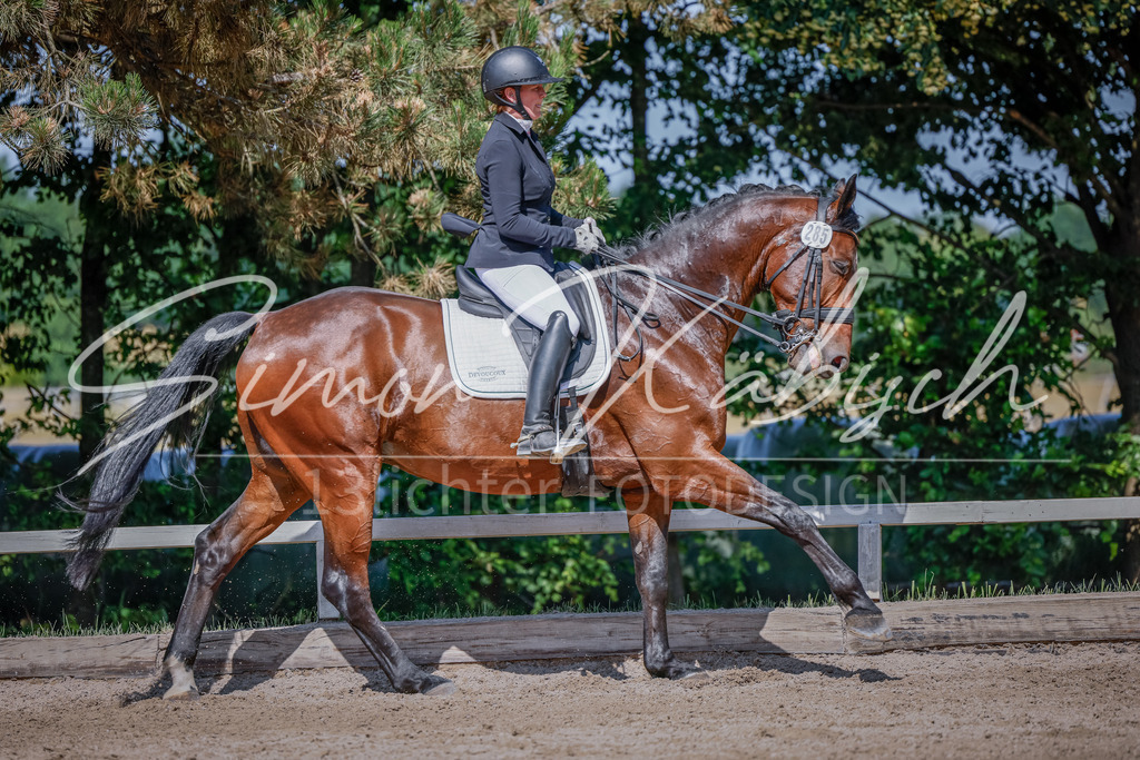 20250621-_3LI9759 | Tierfotografie Pferde, Hunde, Katzen, Haustiere.
Turnierfotografie Reitturniere, Reiten, Springreiten, Dressur in Hanau, dem Main-Kinzig-Kreis und dem Rhein-Main- Gebiet um Frankfurt